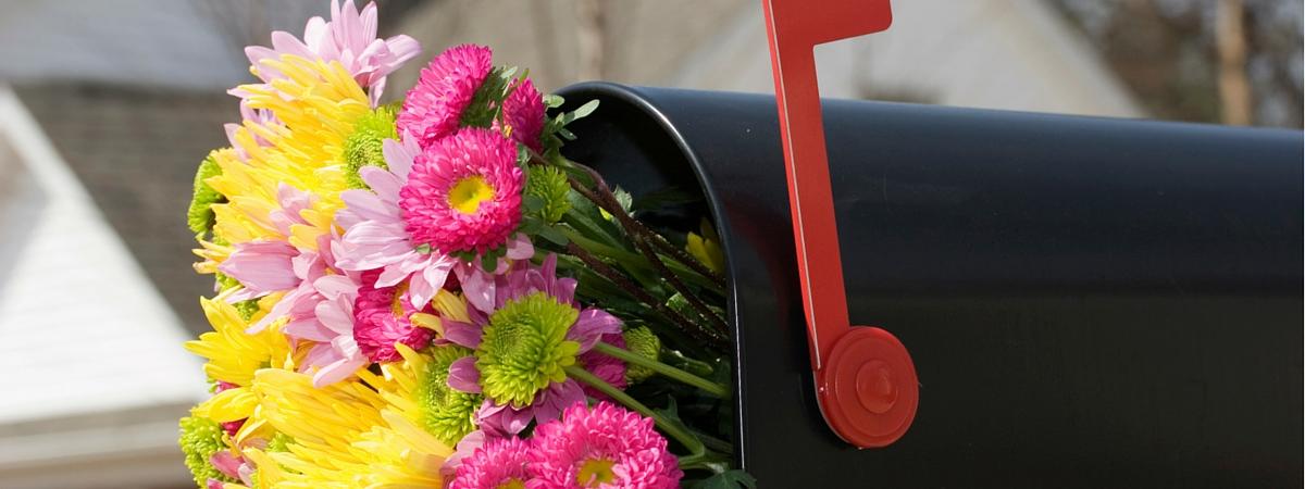 april spring flowers delivered in a mailbox